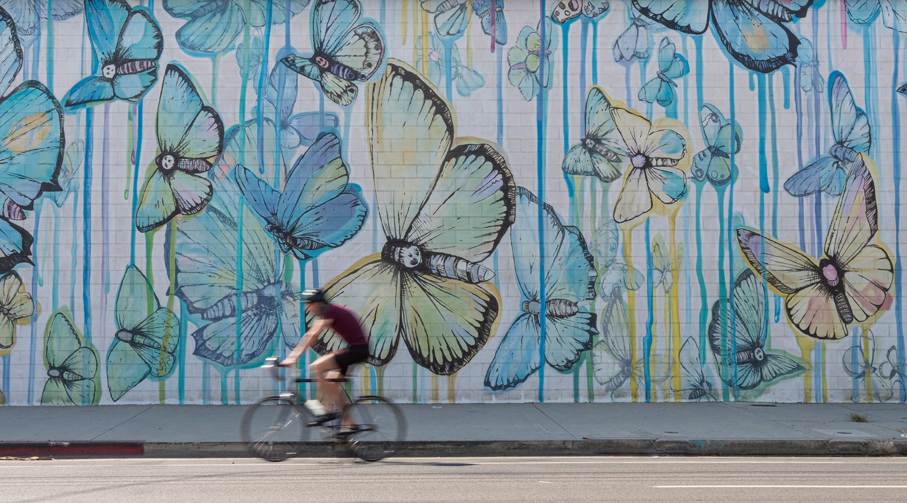 bicyclist riding past large butterfly mural covered wall