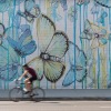 bicyclist riding past large butterfly mural covered wall